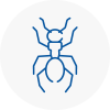 Ant Removals In Strensall