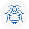 Bed Bug Extermination In Strensall
