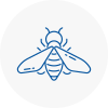 Bee Nest Removal Strensall