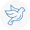 Bird Prevention Strensall