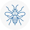 Strensall Hornet Nest Removals