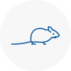 Mice Exterminators In Strensall