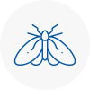 Moth Control Specialists In Strensall