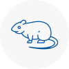 Rat Control Strensall