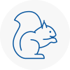 Strensall Rodent Removals